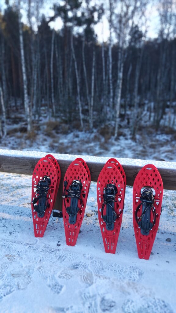 Moorschuhwanderung Bog shoe hike Schneeshuh